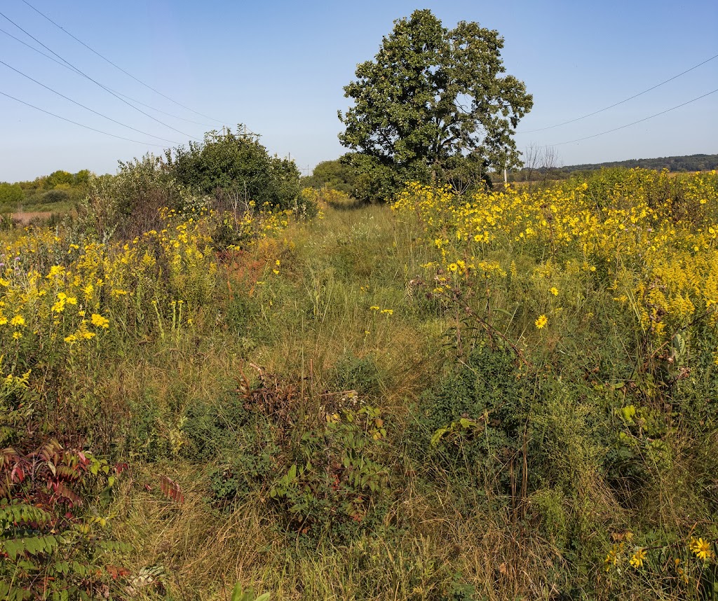 Kessler Railroad Prairie State Natural Area | Janesville, WI 53548 | Phone: (888) 936-7463