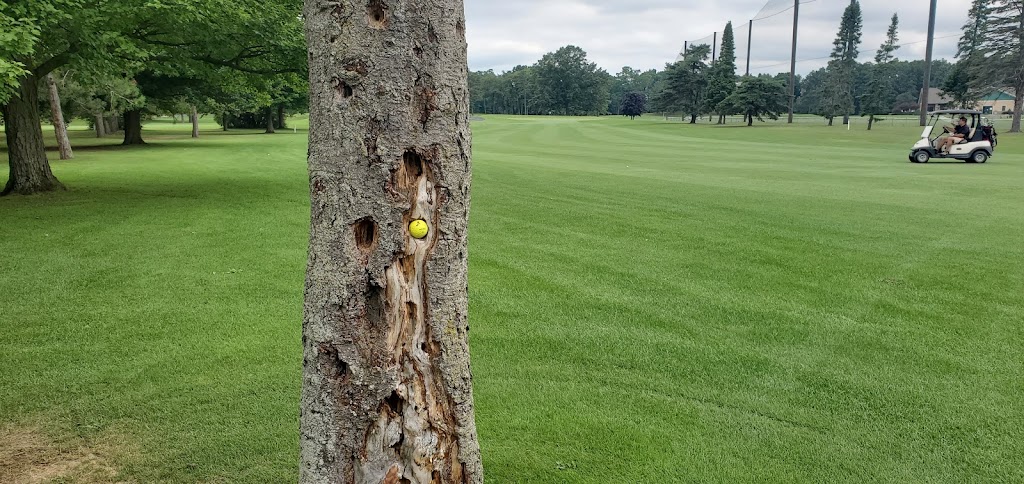 Stadium Golf Club | 333 Jackson Ave, Schenectady, NY 12304, USA | Phone: (518) 374-9104