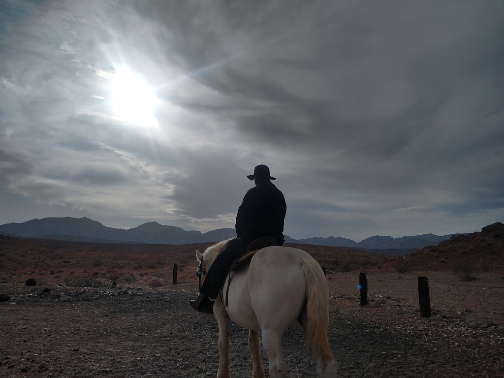 Silver State Horseback Riding Tour | 6628 Sky Pointe Dr, Las Vegas, NV 89131, USA | Phone: (702) 714-1477