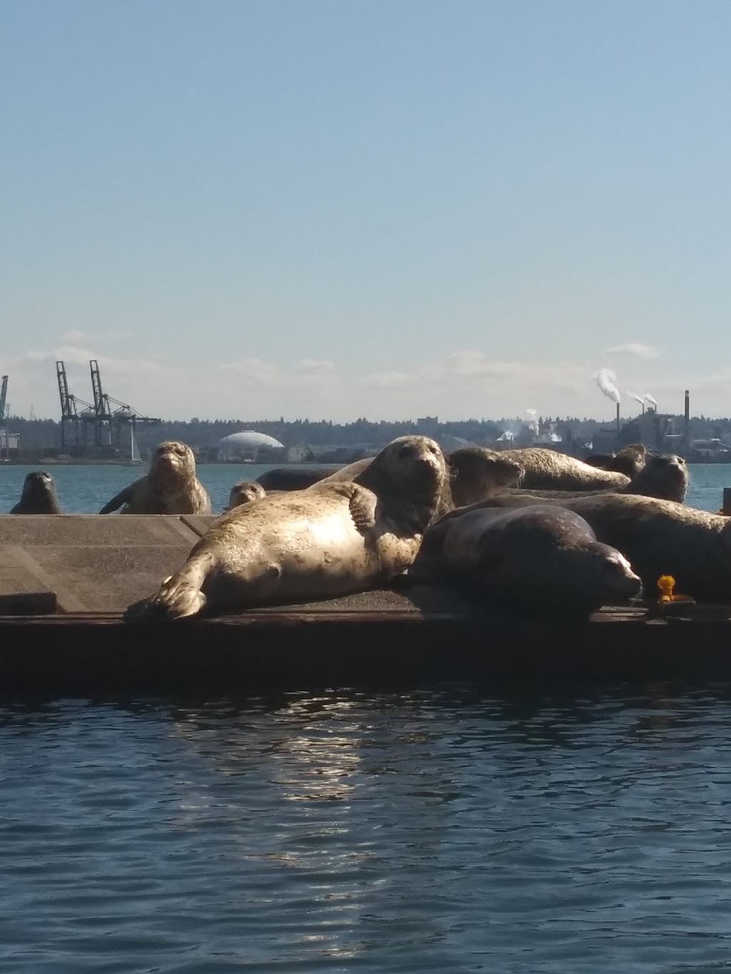 Marina at Browns Point | 5410 Marine View Dr #2, Tacoma, WA 98422, USA | Phone: (253) 272-2827