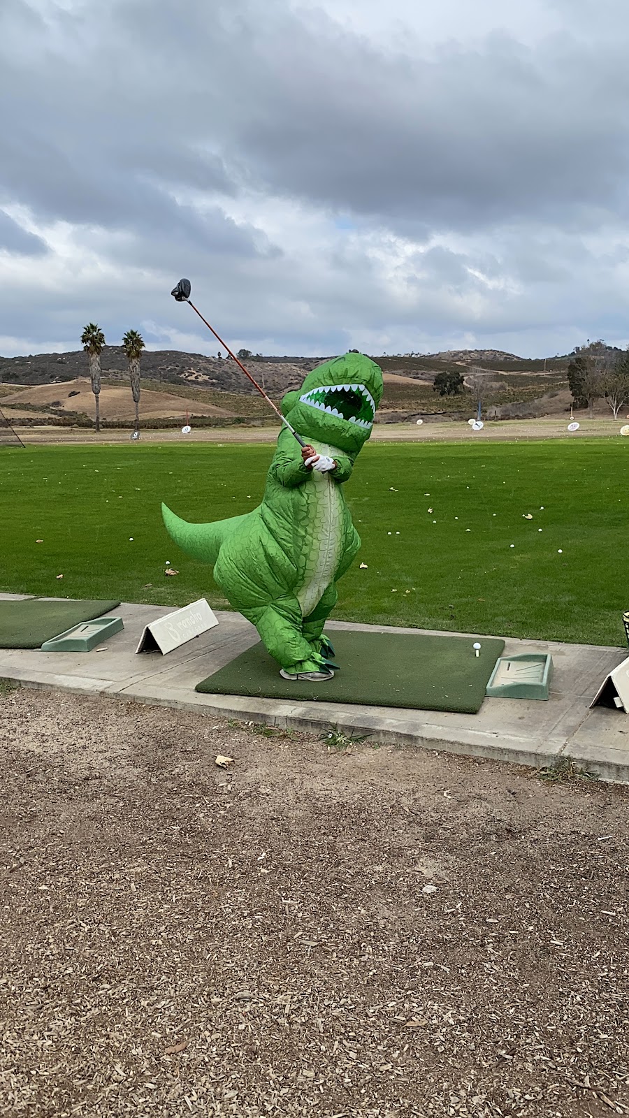 Raising Golfers Golf Academy | 5200 El Camino Real, Carlsbad, CA 92010 | Phone: (925) 758-5573