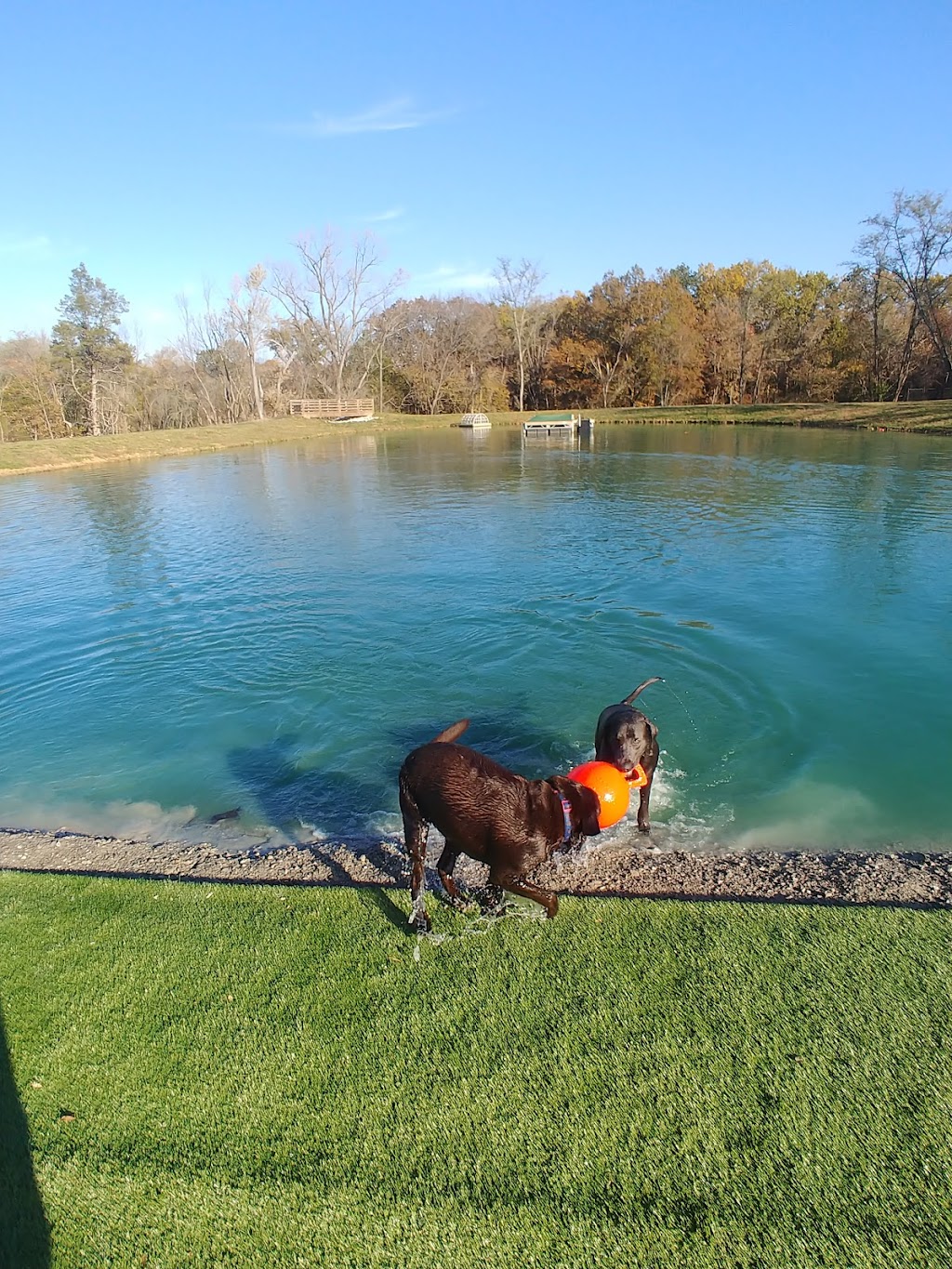 Happy Hounds Playground - Membership Dog Park | 2448 Pond Rd, Grover, MO 63040, USA | Phone: (314) 456-8358