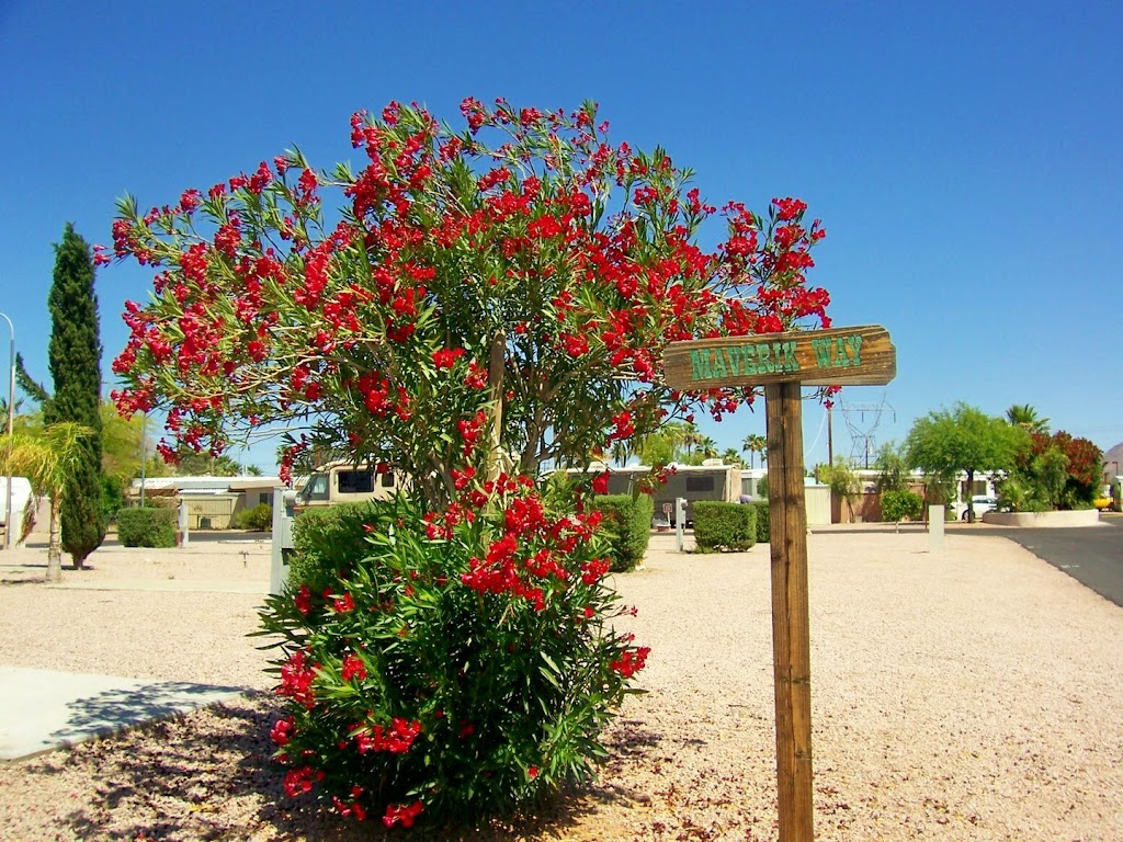 Arizona Maverick RV Park | 201 S Crismon Rd, Mesa, AZ 85208, USA | Phone: (480) 454-5628