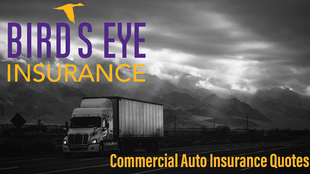 Bird’s Eye Insurance | 130 N Preston Rd Ste 100, Prosper, TX 75078, USA | Phone: (972) 607-9246