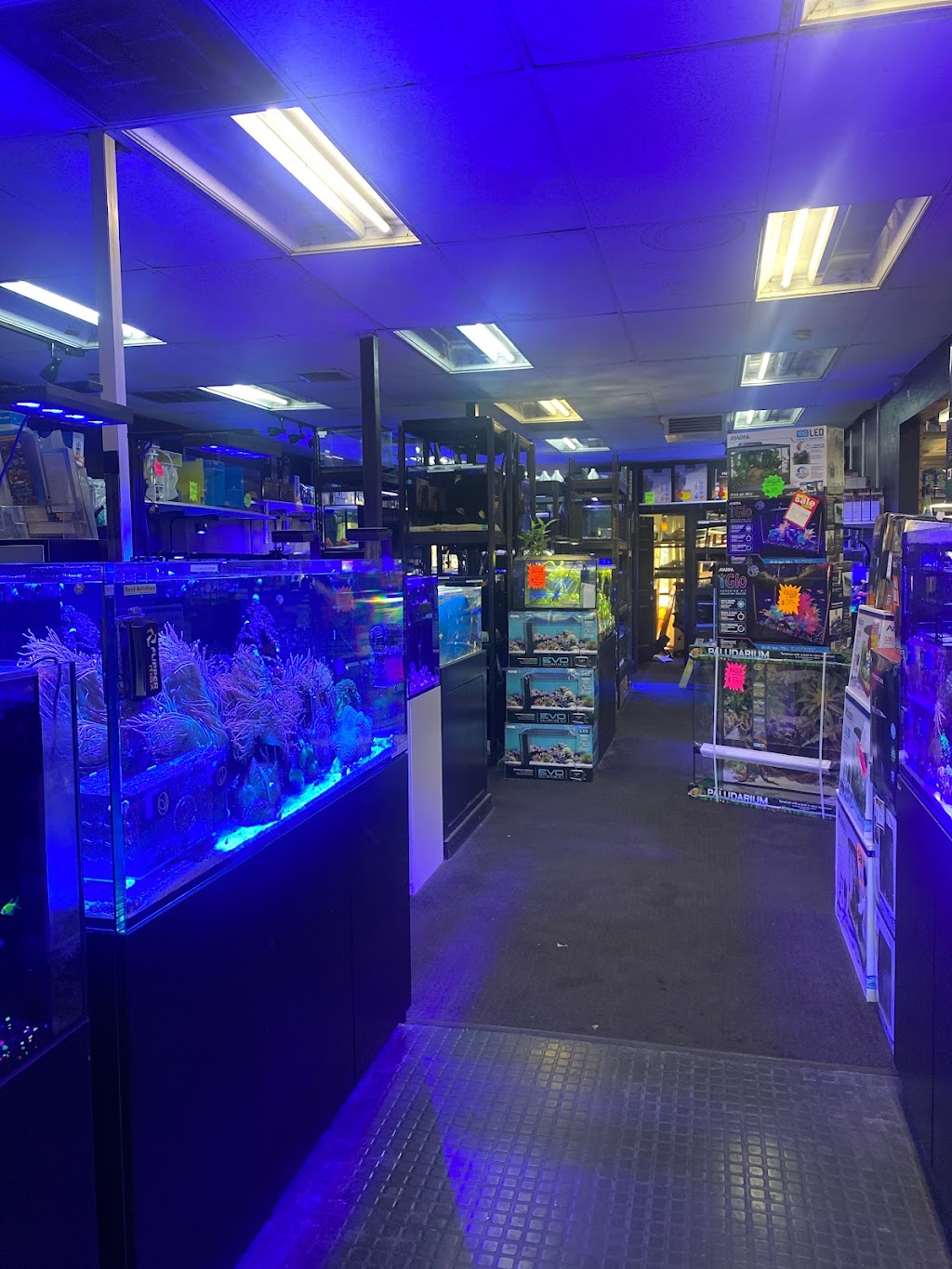 Aquatic Pets and Reptiles | 95 W Shaw Ave #103, Clovis, CA 93612, USA | Phone: (559) 298-4549