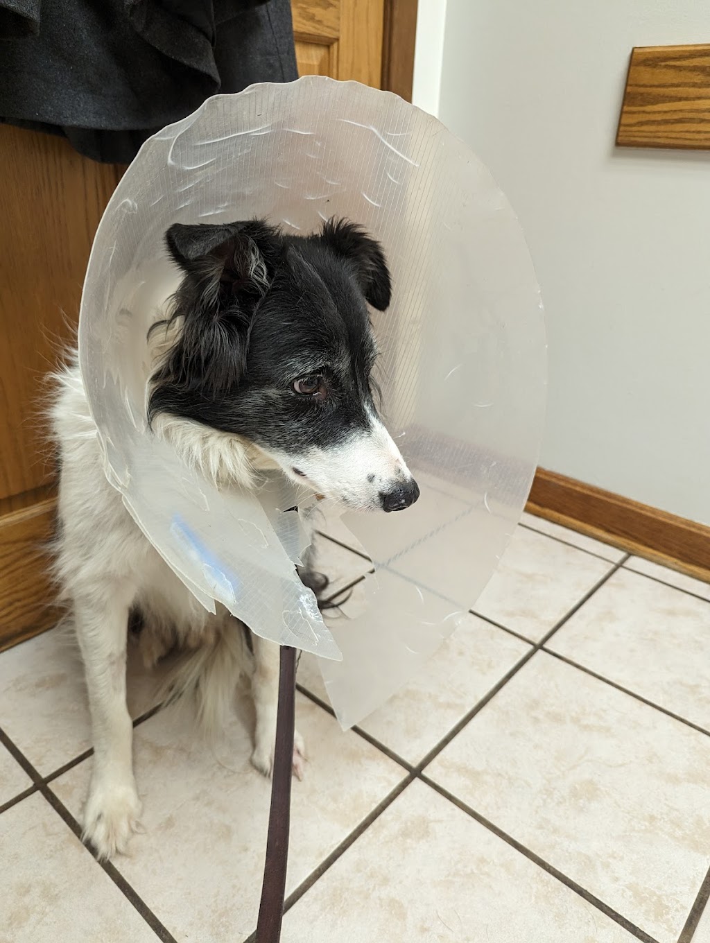 Behavioral House | 925 E McDowell Rd, Phoenix, AZ 85006, USA | Phone: (602) 839-6800