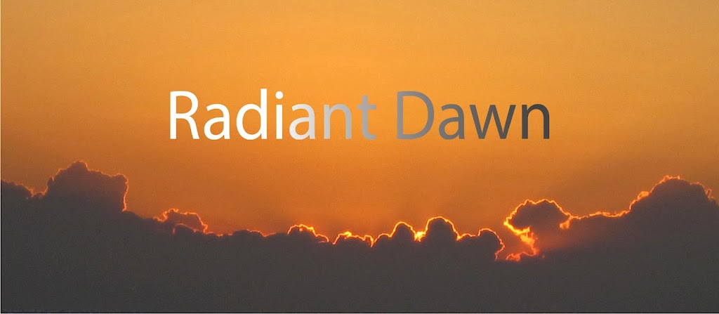 Radiant Dawn LLC - Reiki Energy Healing | 900 7th St W, St Paul, MN 55102, USA | Phone: (505) 920-9607