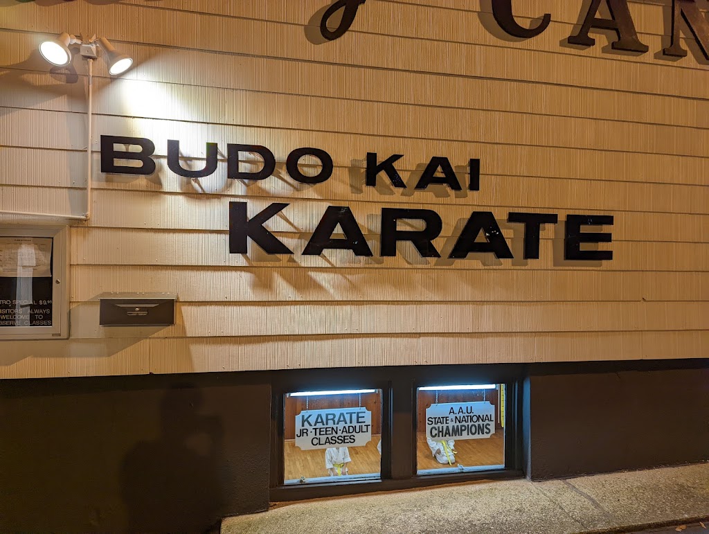 Budo Kai Karate | 812 Kinderkamack Rd, River Edge, NJ 07661, USA | Phone: (201) 265-8109