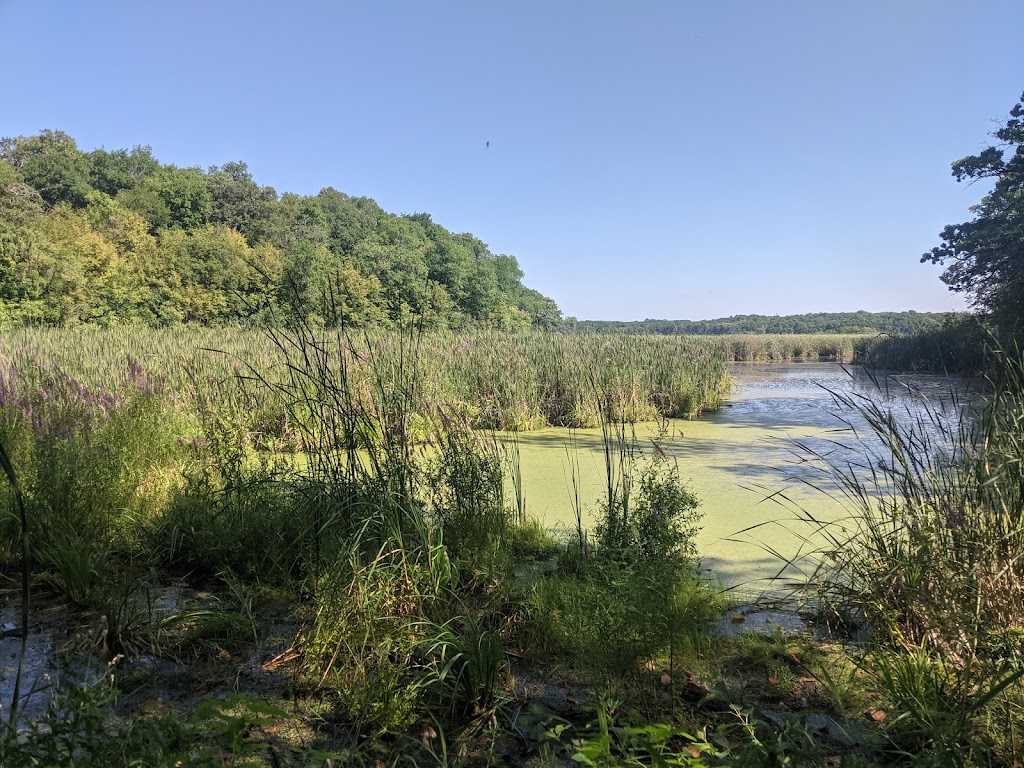 Lowry Nature Center | 7025 Victoria Dr, Victoria, MN 55386, USA | Phone: (763) 694-7650