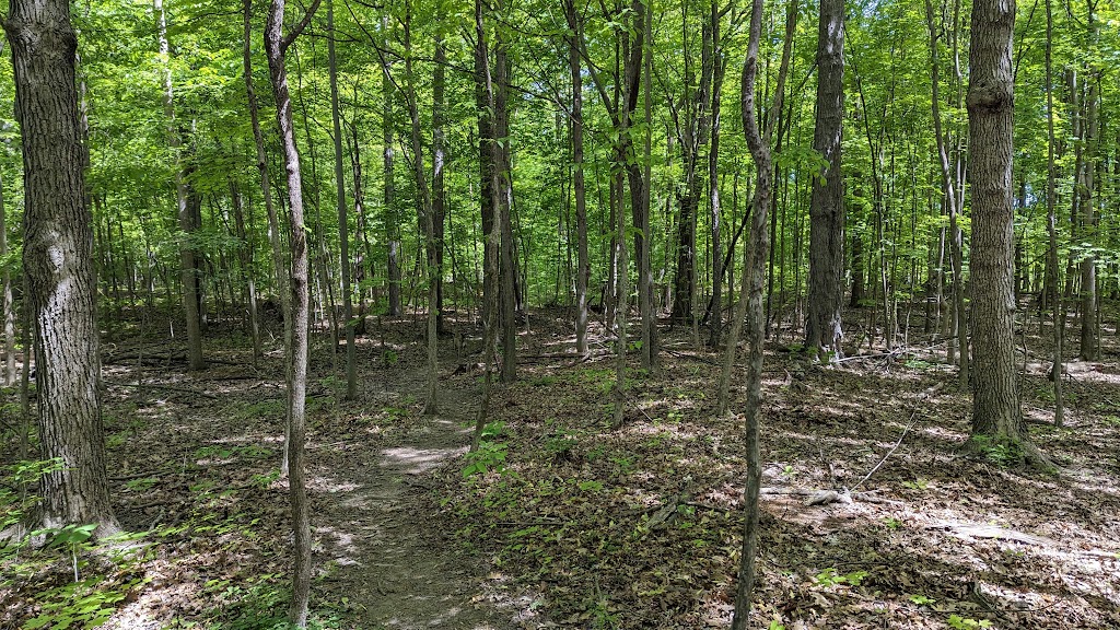 Buttonbush Nature Area | 3314 Sunton Rd, Ann Arbor, MI 48105, USA | Phone: (734) 794-6230