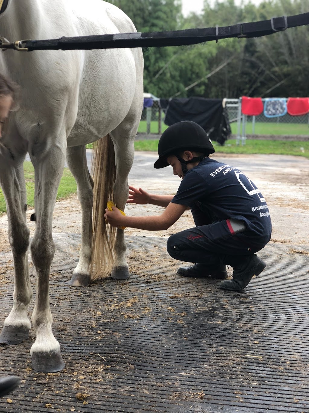 Cloudy Skies Equestrian | 14661 W Palomino Dr, Southwest Ranches, FL 33330, USA | Phone: (305) 989-0967