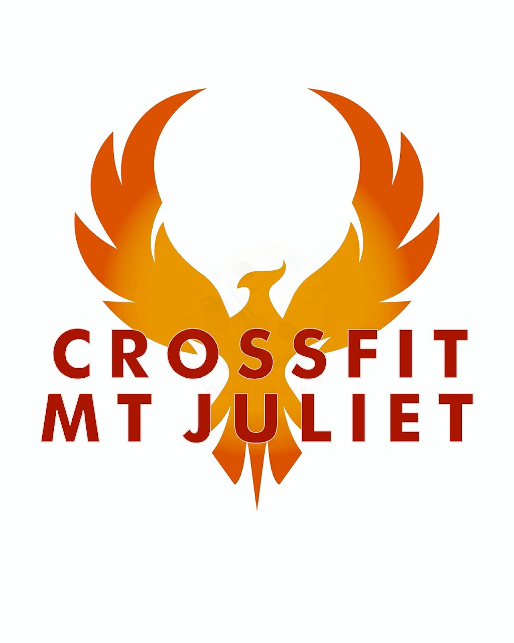 CrossFit Mt Juliet | 8344 Lebanon Rd, Mt. Juliet, TN 37122, USA | Phone: (615) 763-3481