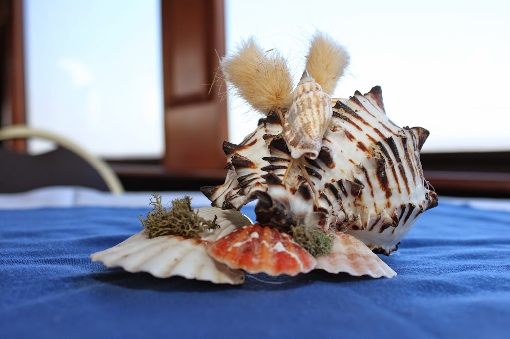 Sapphire Yacht Charters | 11 Richmond St, Freeport, NY 11520, USA | Phone: (516) 442-4614