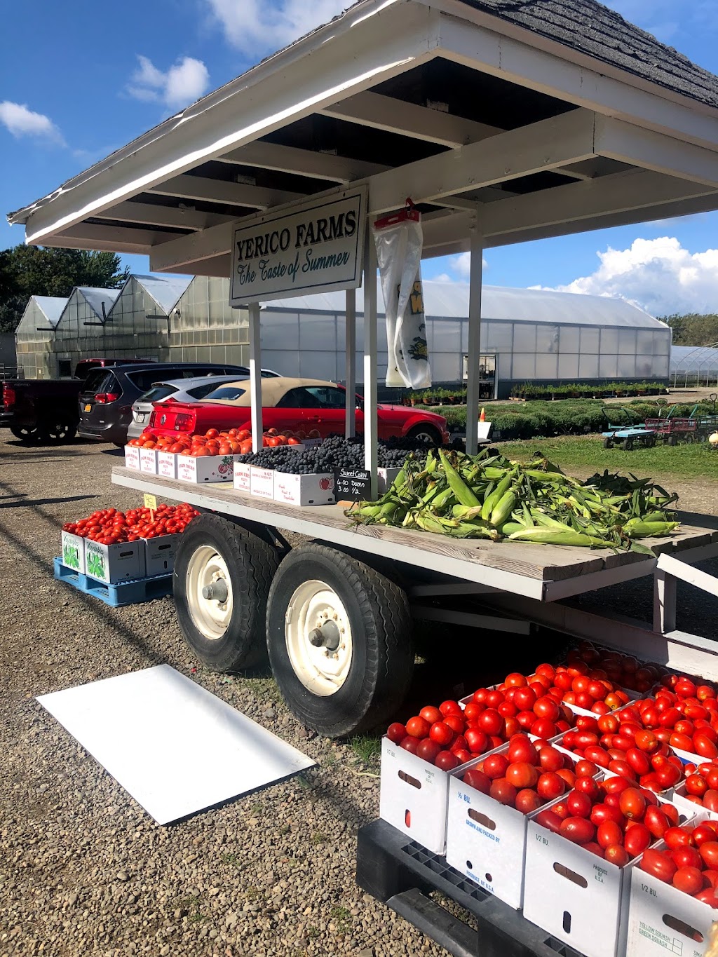 Yerico Farms LLC | 3186 E Main St, Dunkirk, NY 14048, USA | Phone: (716) 673-1271