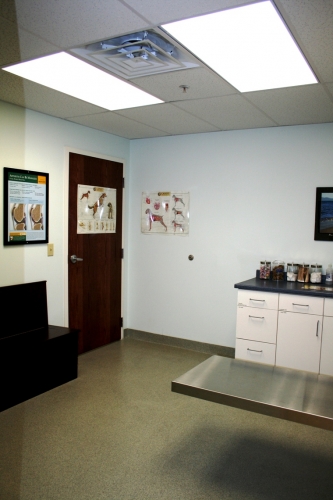 Animal Clinic of Westtown Village | 1169 Wilmington Pike, West Chester, PA 19382, USA | Phone: (610) 399-6889