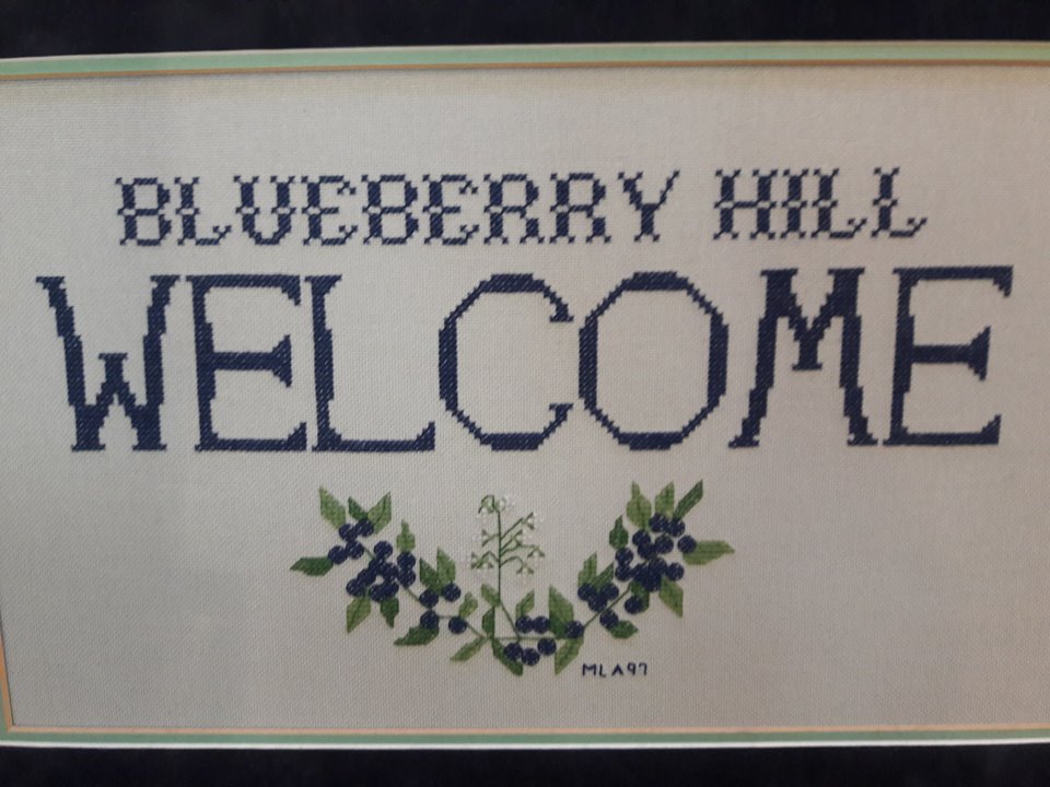 Blueberry Hill Stitchery | 880 Mull Ave Suite 101, Akron, OH 44313, USA | Phone: (330) 864-9688