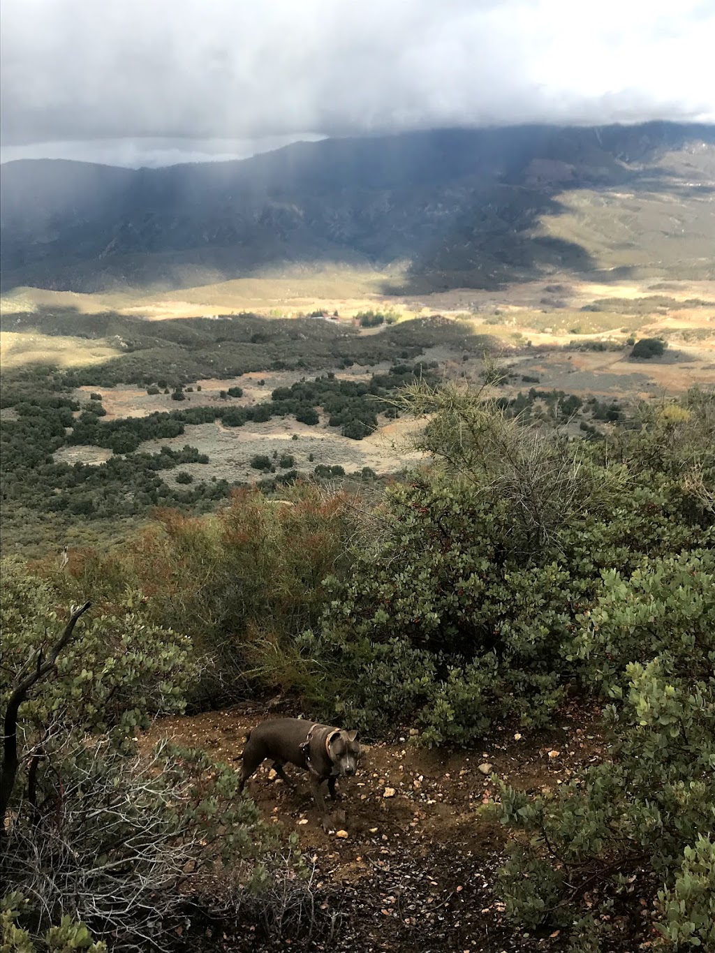 Cahuilla Mountain Trail 2E45 | Forest Rte 7S04, Aguanga, CA 92536, USA | Phone: (909) 382-2921