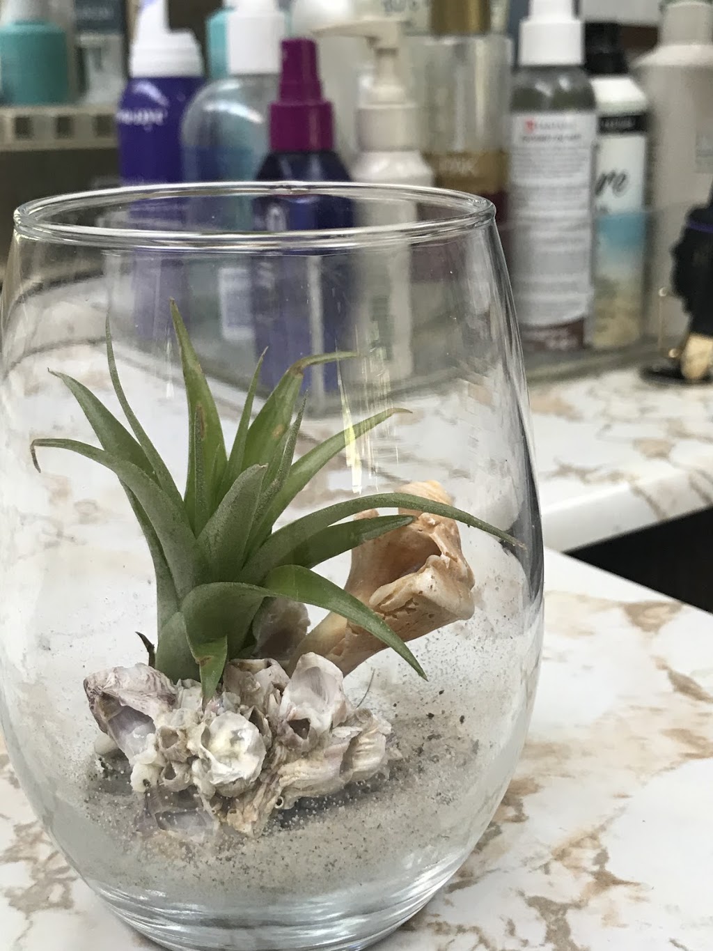 Headlines & Co | 1481 E, National Hwy, Thomasville, NC 27360, USA | Phone: (336) 882-6253