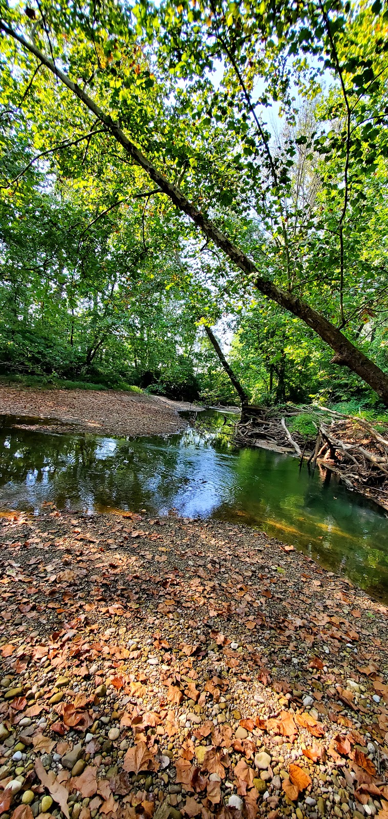 Kinnikinnick Wildlife Area | Orr Rd, Chillicothe, OH 45601, USA | Phone: (740) 589-9930