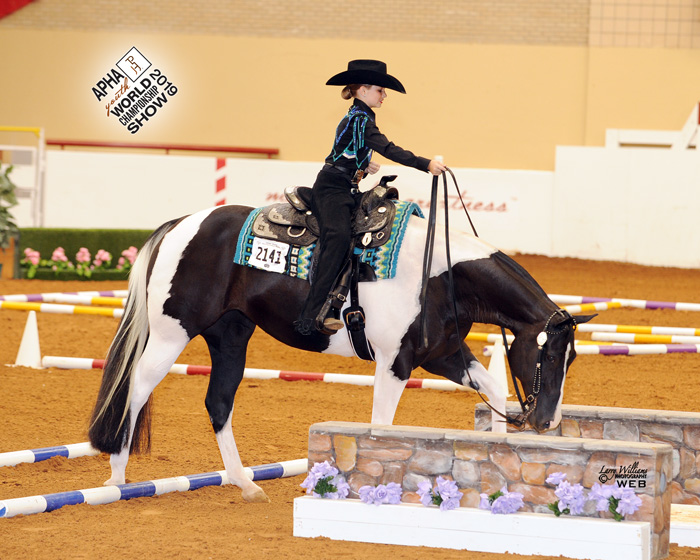 Butts Performance Horses | 900 Steele Rd, Highlands, TX 77562, USA | Phone: (713) 819-1075