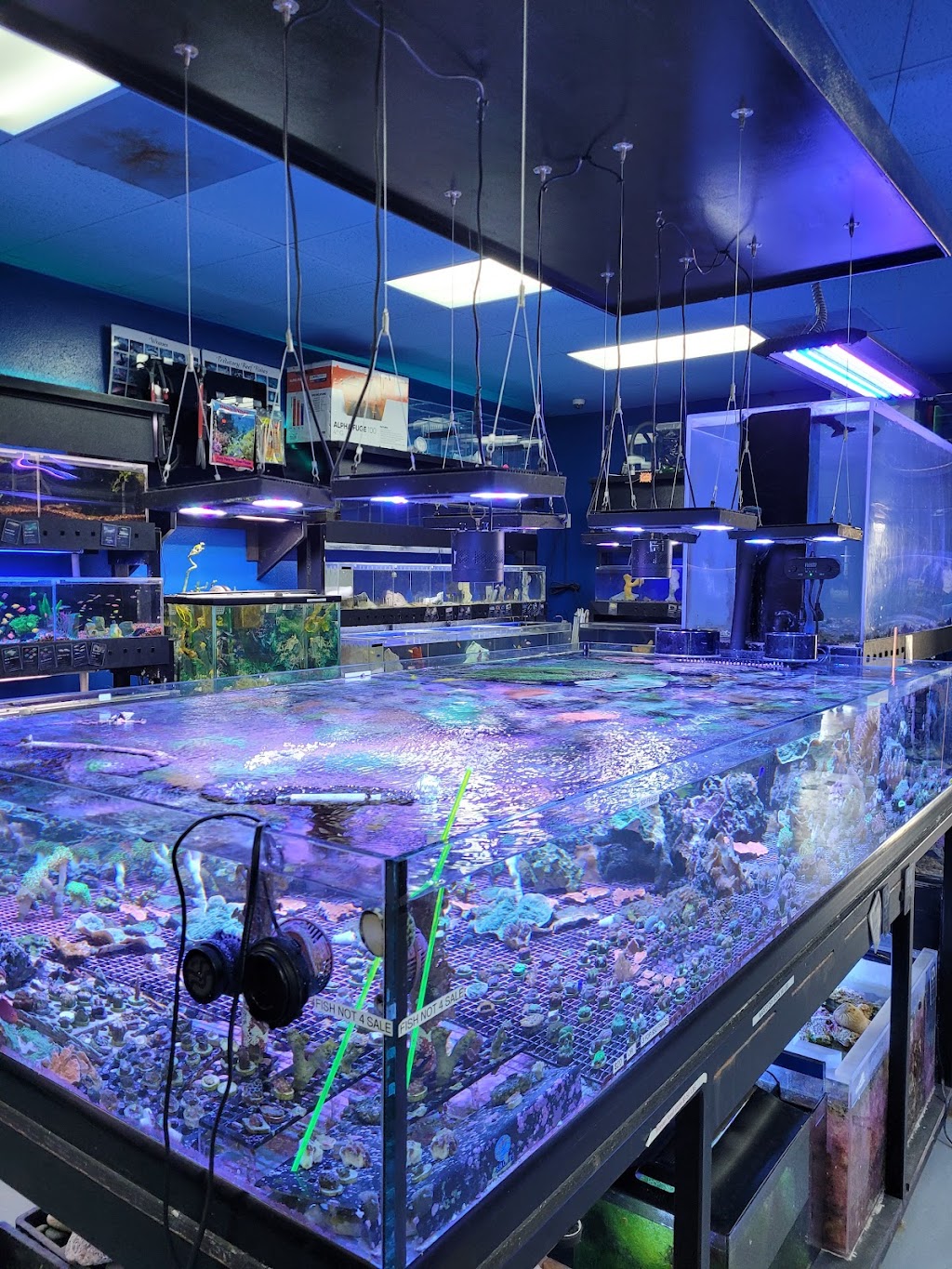 Aquatic Design Aquariums | 1629 N US 75-Central Expy 1000, Plano, TX 75075 | Phone: (972) 423-0414