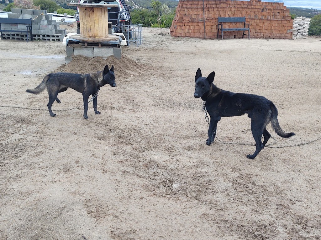 próximamente. "LA ARISTOCRACIA" hotel campestre | CARRETERA LIBRE TECATE MEXICALI, 21514 Gral. Felipe Ángeles, B.C., Mexico | Phone: 686 148 0951