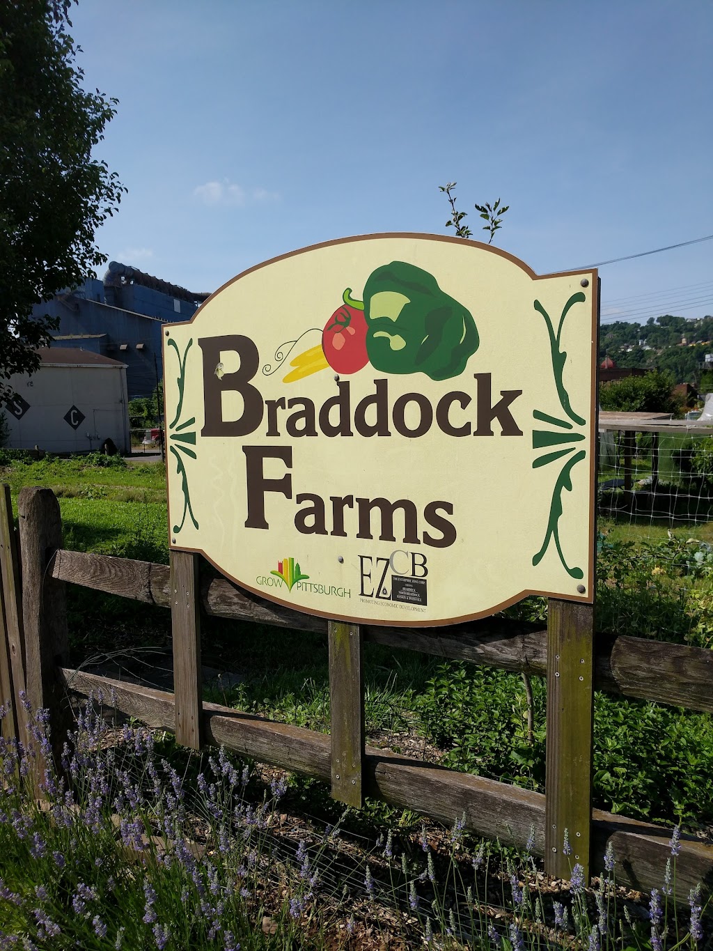 Braddock Farms - Grow Pittsburgh | 1000 Braddock Ave, Braddock, PA 15104, USA | Phone: (412) 362-4769