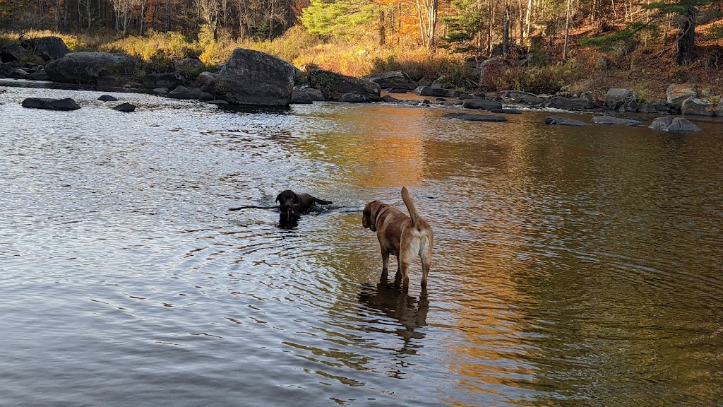 Cedar River Canoe/Kayak/Fishing Access | Benton Rd, Indian Lake, NY 12842, USA | Phone: (518) 863-4545