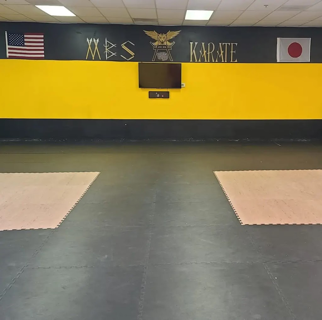 MBS Karate | 13015 Brown Bridge Rd Unit 350, Covington, GA 30016, USA | Phone: (404) 395-4535