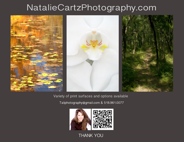 Natalie Cartz Photography | 685 Watervliet Shaker Rd #252, Latham, NY 12110, USA | Phone: (518) 961-0077