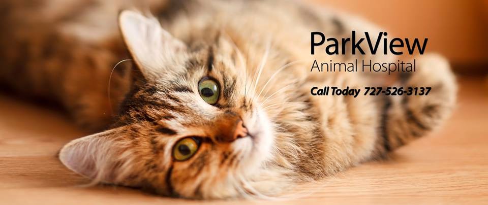 ParkView Animal Hospital | 3720 54th Ave N, St. Petersburg, FL 33714, USA | Phone: (727) 526-3137