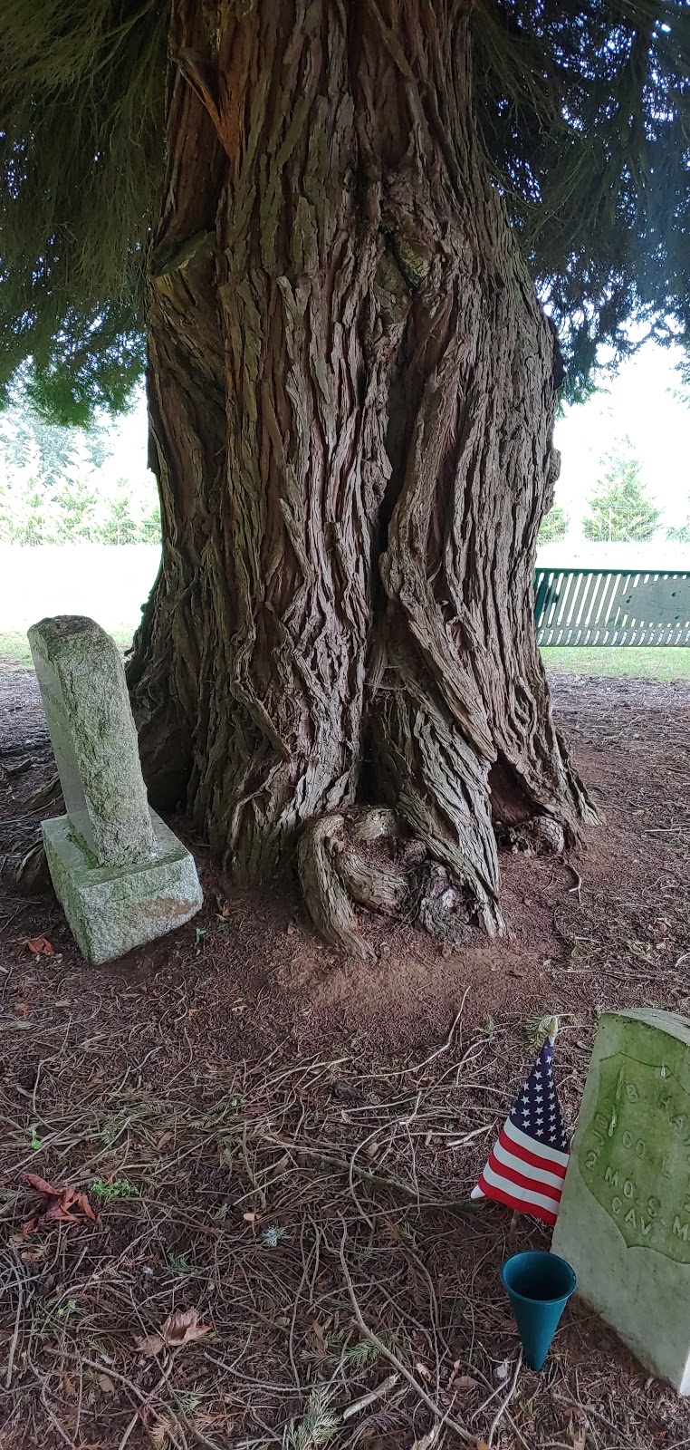 Viola Cemetery | Estacada, OR 97023, USA | Phone: (503) 630-3829