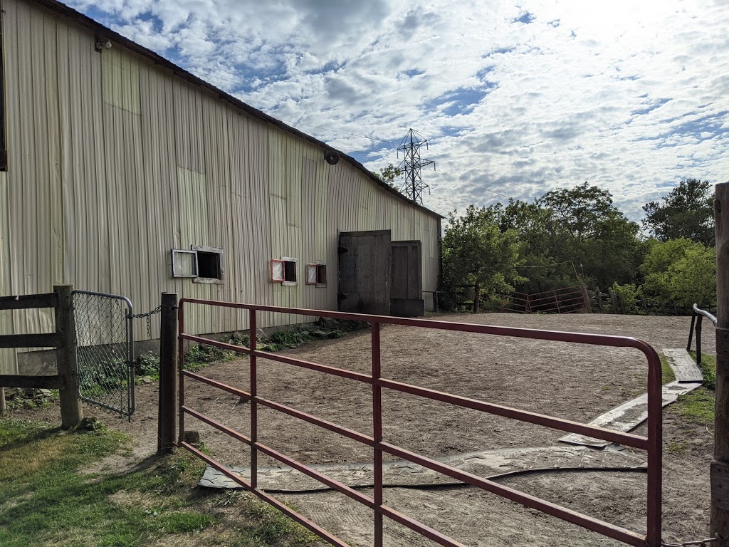 Niagara Riding Stables | 471 Warner Rd, Niagara-on-the-Lake, ON L0S 1J0, Canada | Phone: (905) 262-5101