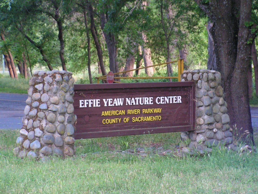 Effie Yeaw Nature Center | 2850 San Lorenzo Way, Carmichael, CA 95608, USA | Phone: (916) 489-4918
