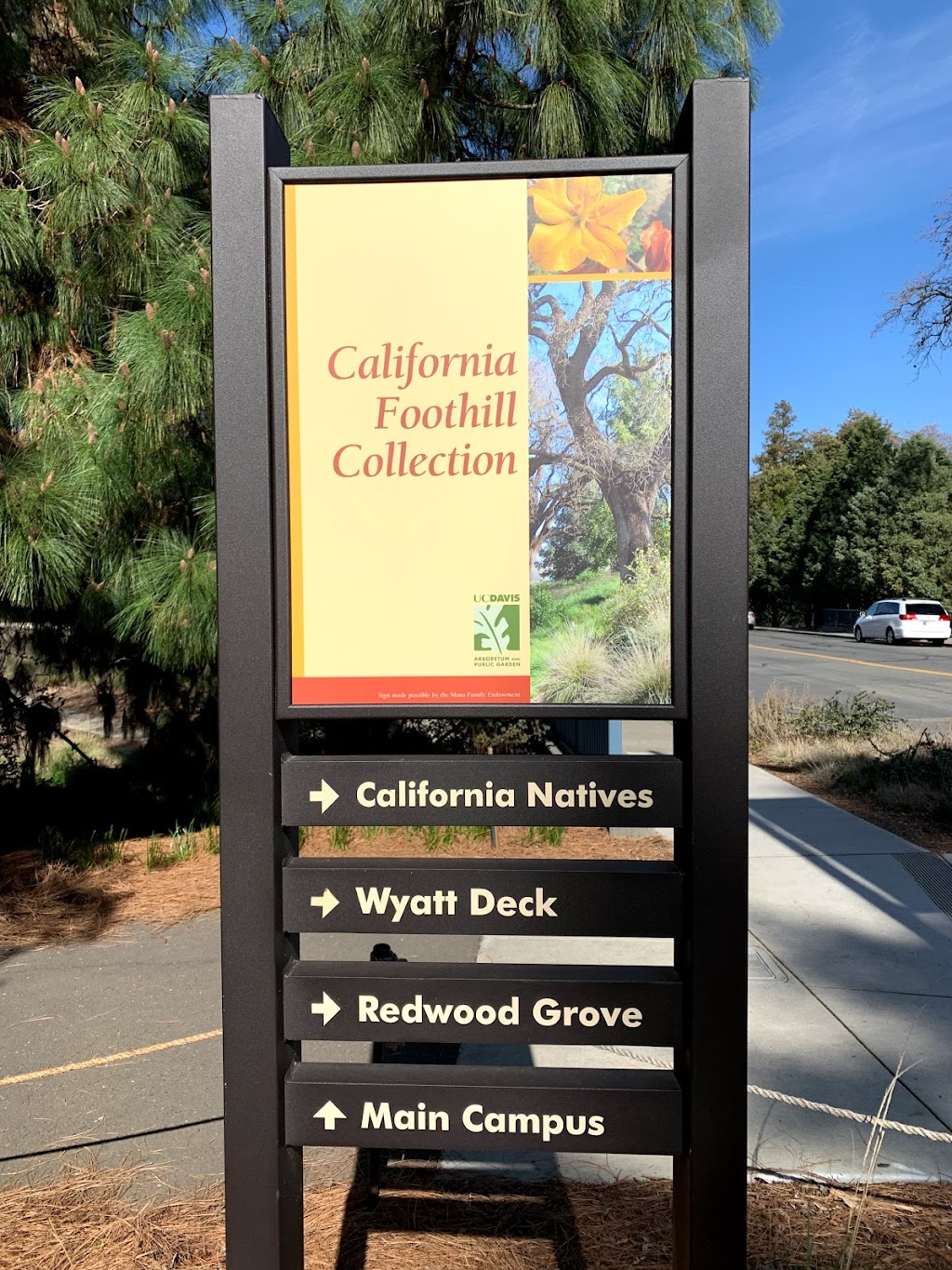 California Foothill Collection | Davis, CA 95616, USA | Phone: (530) 752-4880