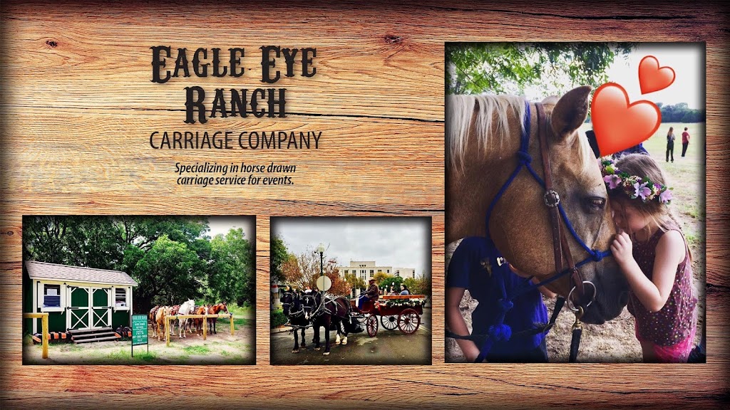 Eagle Eye Ranch Carriage Company | 1629 Park Rd 59, Glen Rose, TX 76043, USA | Phone: (817) 382-9855