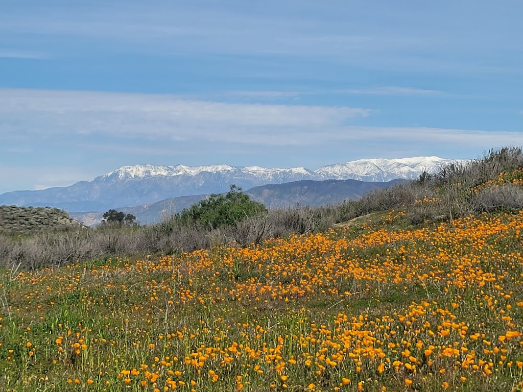 Valley-Wides Diamond Valley Lake Community Park | 1801 Angler Ave, Hemet, CA 92543, USA | Phone: (951) 926-5917