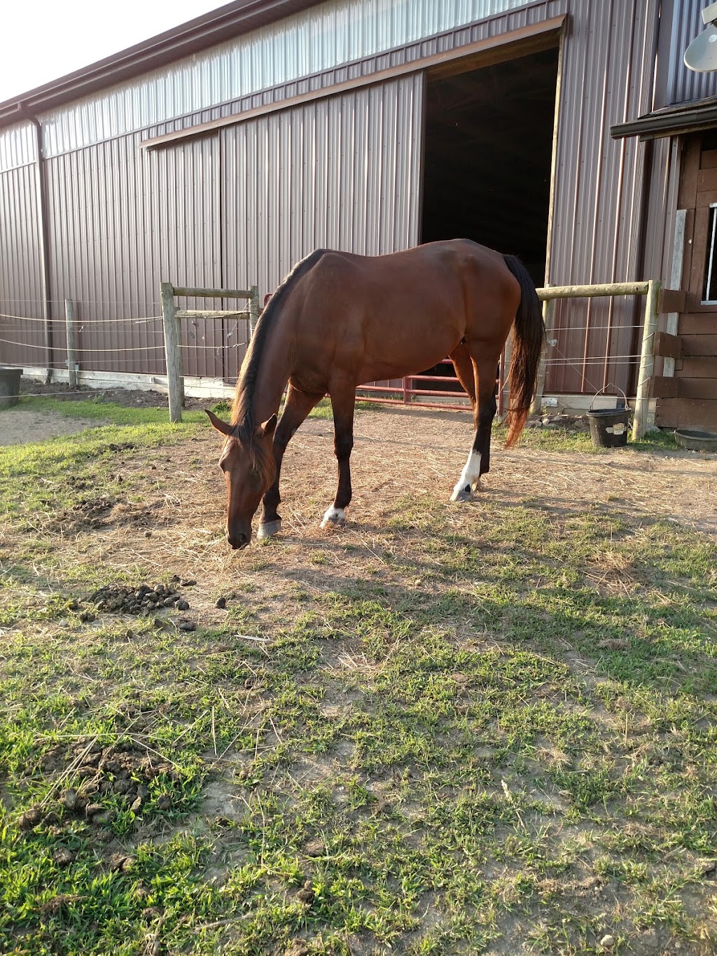 Kane Horsemanship | 165 Sprowls Rd, Bentleyville, PA 15314, USA | Phone: (724) 239-4511