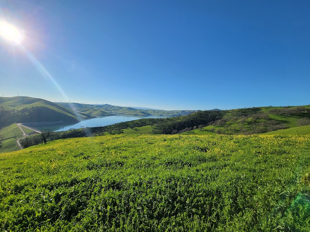 Los Vaqueros Reservoir & Watershed | 19 Walnut Blvd, Brentwood, CA 94513, USA | Phone: (925) 371-2628