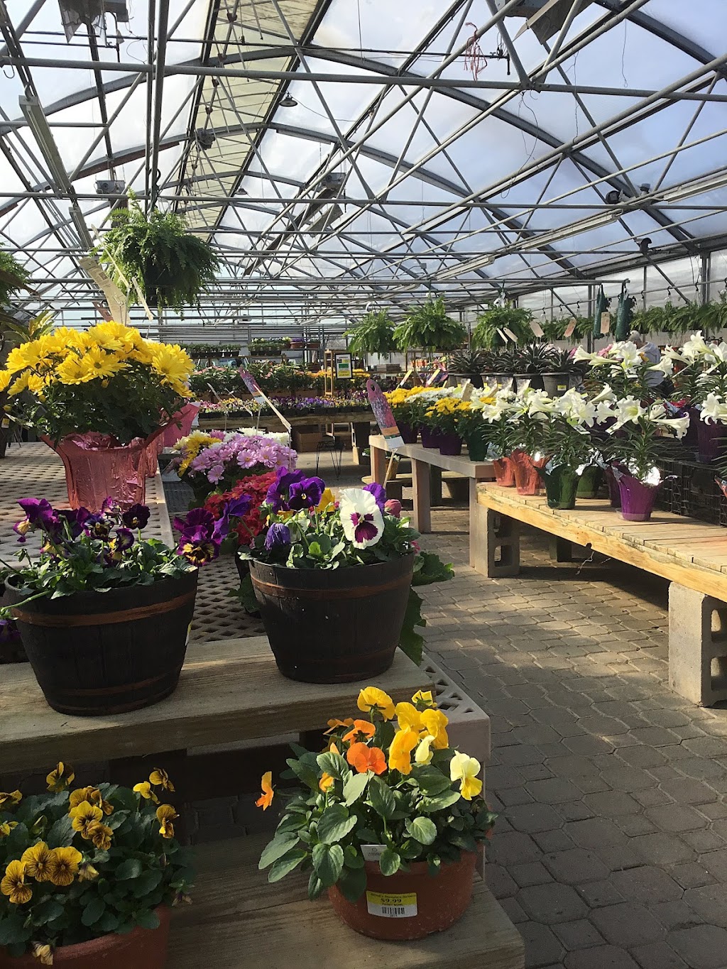 Barretts Showplace Gardens & Flower Shop | 1033 W Beecher St, Adrian, MI 49221, USA | Phone: (517) 781-7750