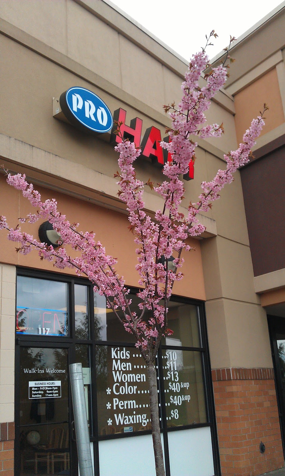 Pro Hair | 8300 NE 137th Ave, Vancouver, WA 98682, USA | Phone: (360) 260-4909