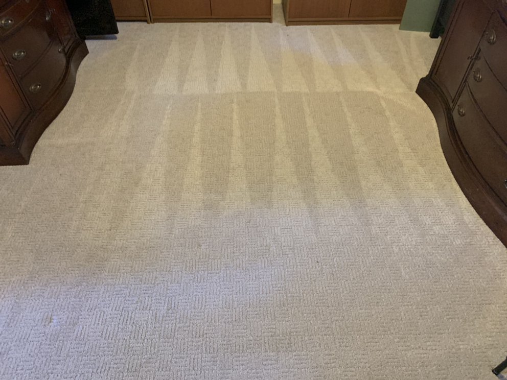 Commercial And Office Carpet Cleaning | 1000 Pinebrook Blvd suite 1120C, New Rochelle, NY 10804, USA | Phone: (914) 888-1244