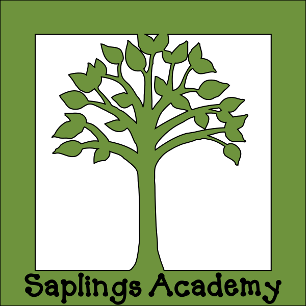 Saplings Academy | 37 Jones Ave, New Brunswick, NJ 08901, USA | Phone: (908) 329-4771