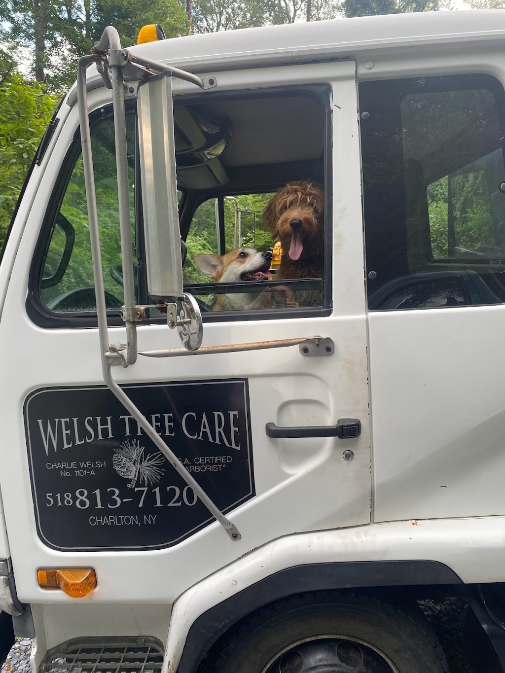 Welsh Tree Care | 2079 Cook Rd, Charlton, NY 12019, USA | Phone: (518) 813-7120