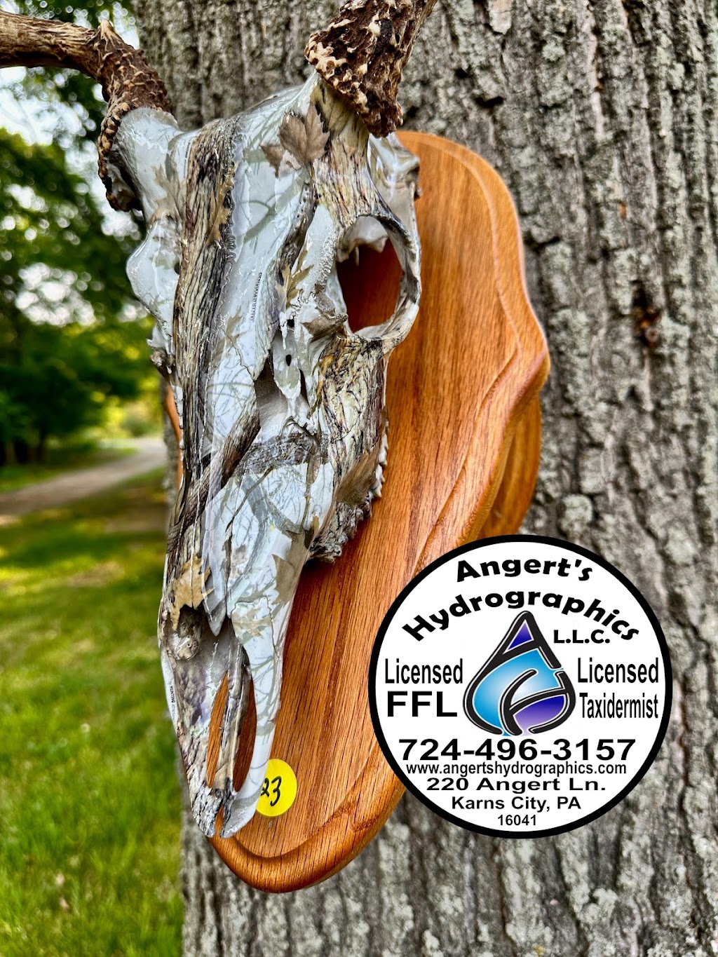 Angerts Hydrographics LLC. | 220 Angert Ln, Karns City, PA 16041, USA | Phone: (724) 496-3157