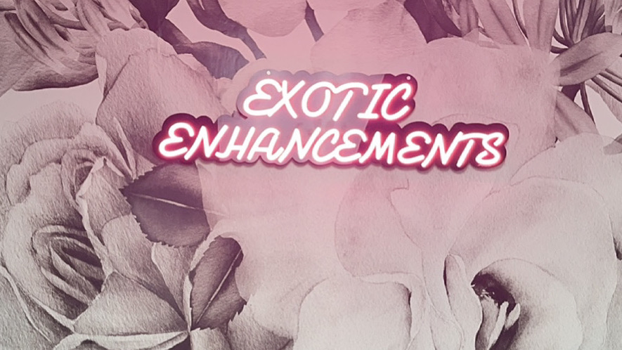 Exotic Enhancements | 401 Western Ln, Irmo, SC 29063 | Phone: (470) 710-9111