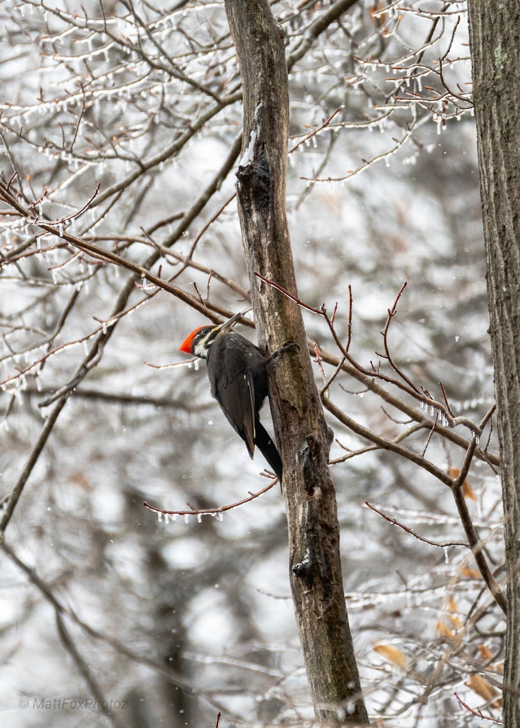 Sand Run Metro Park-Big Bend Area | 1337 Merriman Rd, Akron, OH 44313, USA | Phone: (330) 867-5511