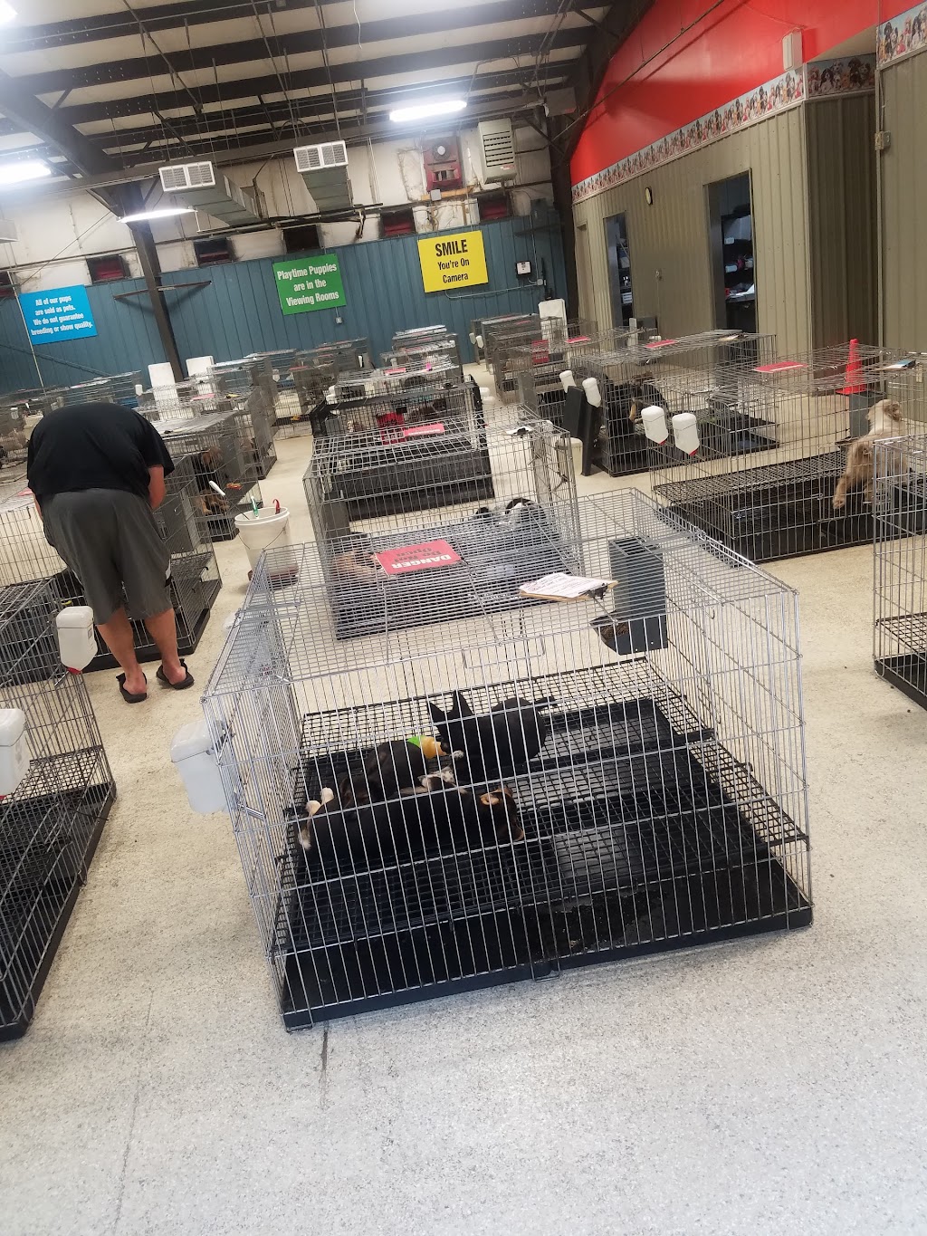Tullys Kennels | 7777 D St, Omaha, NE 68124, USA | Phone: (402) 391-2456
