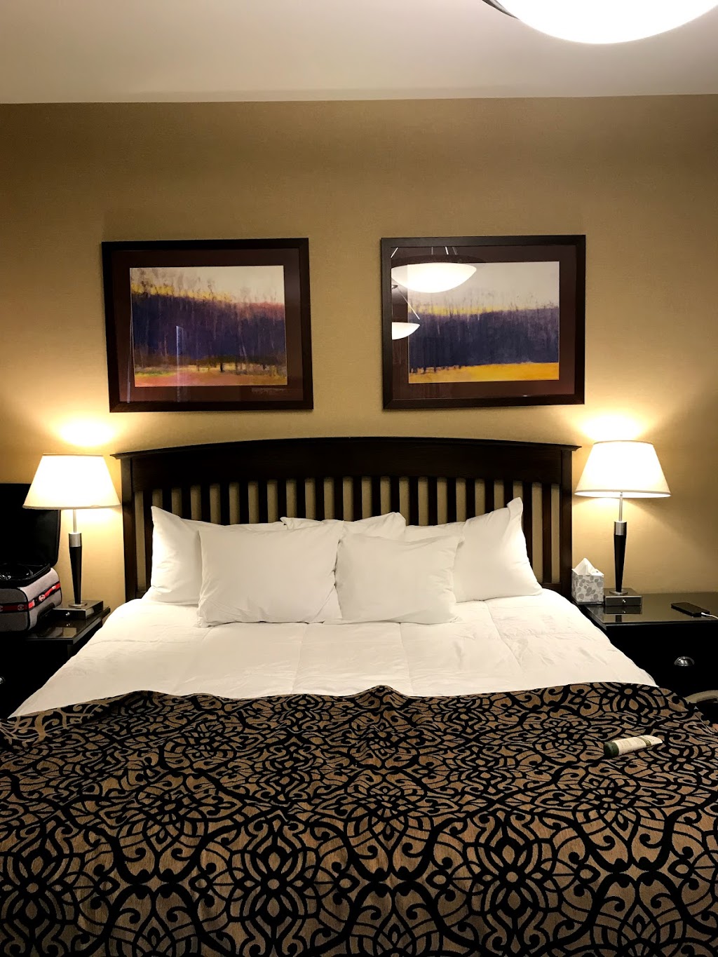 The Parker Inn & Suites | 434 State St, Schenectady, NY 12305, USA | Phone: (518) 224-6677