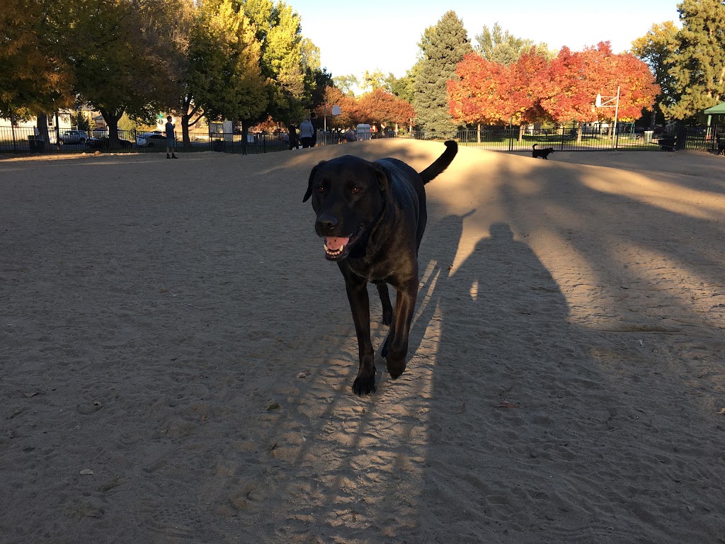 Fuller Dog Park | 2801 N Williams St, Denver, CO 80205, USA | Phone: (720) 913-1311